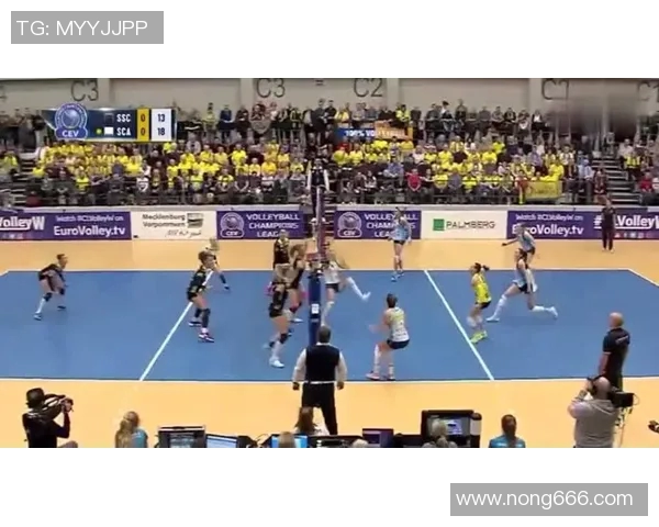 成都排球队引领最新排球节奏TOP10榜单展现实力与风采 成都排球队引领最新排球节奏TOP10榜单展现实力与风采