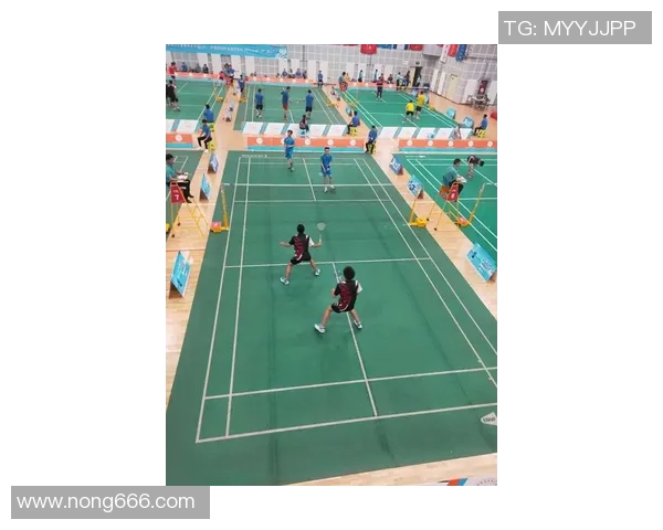 南京羽毛球队战术解析：掌握控制体系提升比赛优势与团队协作