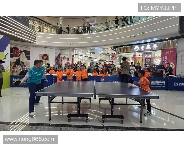 杭州乒乓球队耐力变革引发热议助力运动员全面提升竞技水平 杭州乒乓球队耐力变革引发热议助力运动员全面提升竞技水平