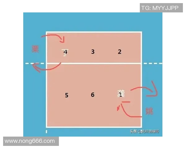 排球战术排名揭晓上海排球队荣获第九名引发关注