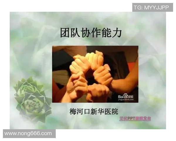 上海乒乓球队在洲际杯中的团队协作表现分析与总结 上海乒乓球队在洲际杯中的团队协作表现分析与总结