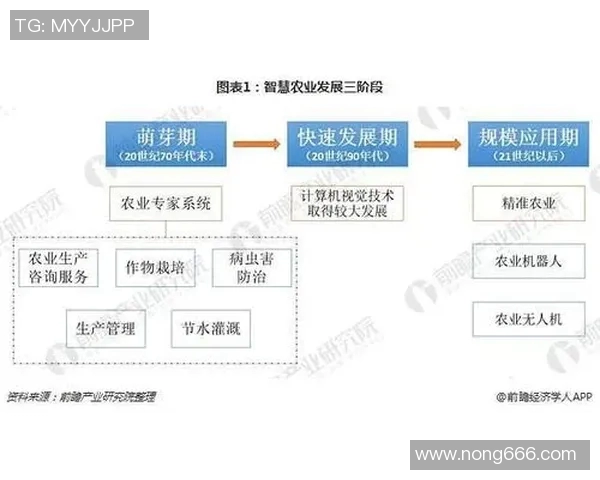 北京排球队的比赛经验分析与提升策略探讨 北京排球队的比赛经验分析与提升策略探讨