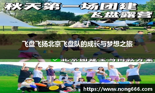 飞盘飞扬北京飞盘队的成长与梦想之旅