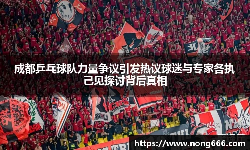 zoty中欧官方网站
