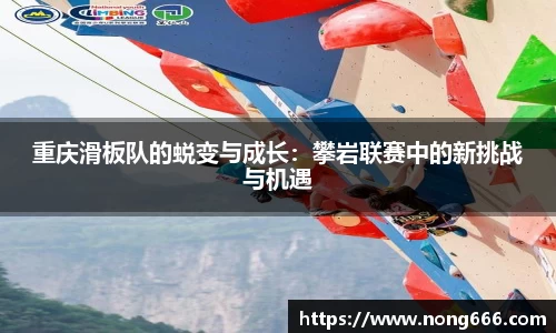 zoty中欧官方网站