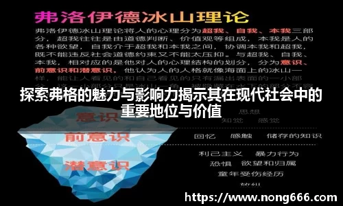探索弗格的魅力与影响力揭示其在现代社会中的重要地位与价值